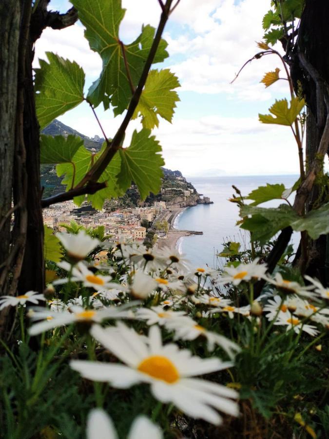Eden Tra I Limoni Daire Minori Dış mekan fotoğraf
